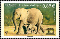 Éléphant d’Afrique UNESCO