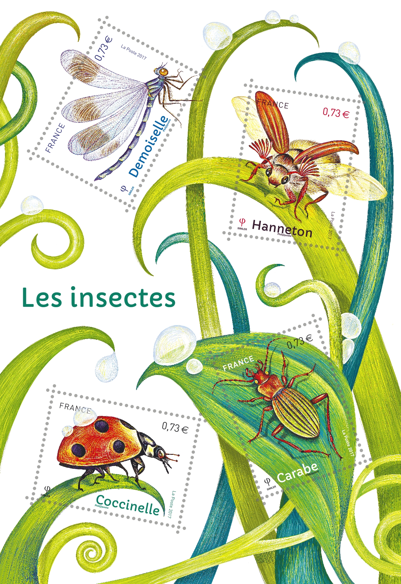 Les insectes - Demoiselle, Hanneton, Carabe, Coccinelle