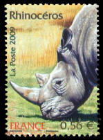 Rhinocéros