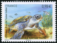 France - Pays de l’océan Indien - la tortue verte