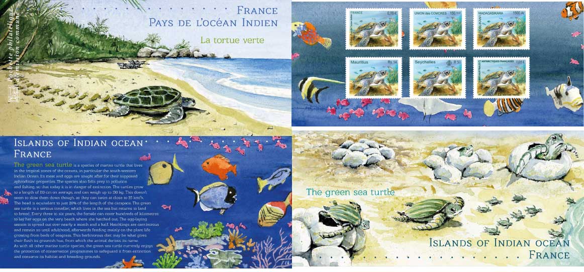  France - pays de l’océan Indien - la tortue verte