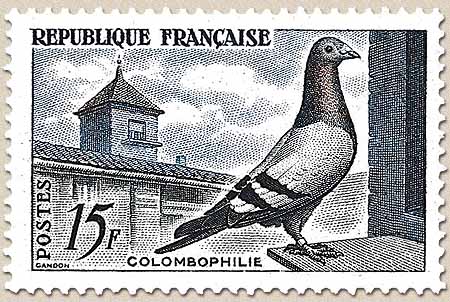 COLOMBOPHILIE