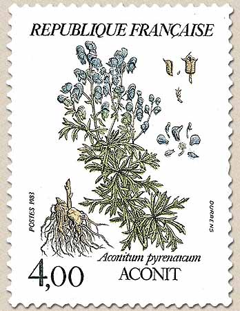 ACONIT Aconitum pyrenaicum