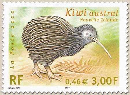 Kiwi austral Nouvelle-Zélande