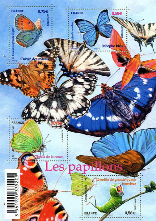 Bloc Les Papillons